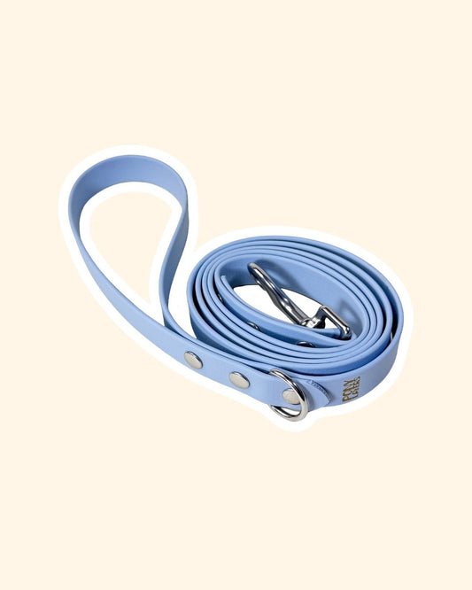 Guinzaglio Basic - 150 cm